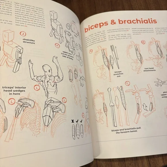 Donate Soon! Anatomy for Artists: Drawing Form & Pose - Picture 3 of 5